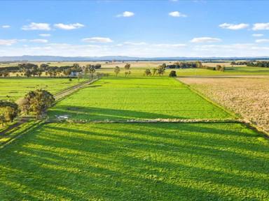 Farm Sold - VIC - Pearsondale - 3851 - Outstanding lifestyle irrigation property  (Image 2)