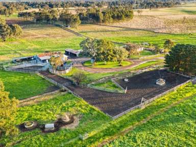 Farm Sold - VIC - Pearsondale - 3851 - Outstanding lifestyle irrigation property  (Image 2)