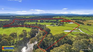 Farm For Sale - VIC - Bundalaguah - 3851 - Ideal grazing and cropping property  (Image 2)