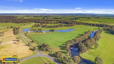 Farm For Sale - VIC - Bundalaguah - 3851 - Ideal grazing and cropping property  (Image 2)
