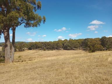Farm Sold - VIC - Gormandale - 3873 - Lifestyle Property Complete With Inground Pool on 97 Acres  (Image 2)