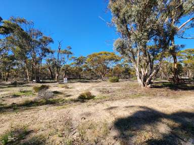 Farm Sold - WA - Dudinin - 6363 - Natures Retreat  (Image 2)