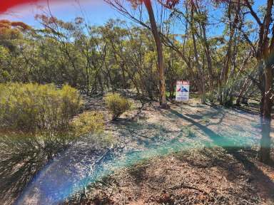 Farm Sold - WA - Dudinin - 6363 - Natures Retreat  (Image 2)