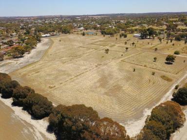 Farm Sold - WA - Katanning - 6317 - Residential Development - Owner is Keen to Sell  (Image 2)