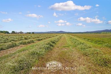 Farm For Sale - QLD - Mutchilba - 4872 - PRIME MUTCHILBA CROPPING LAND  (Image 2)