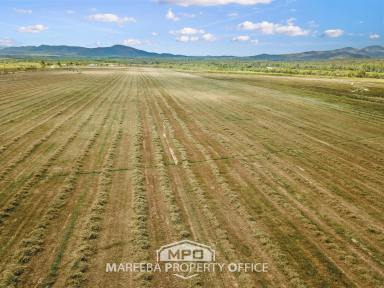 Farm For Sale - QLD - Mutchilba - 4872 - PRIME MUTCHILBA CROPPING LAND  (Image 2)