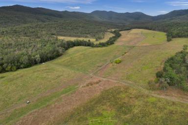 Farm Sold - QLD - Brightly - 4741 - 652 ACRES ACROSS 5 FREEHOLD TITLES – 10 MINUTES TO ETON.  (Image 2)