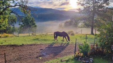 Farm Sold - NSW - Yarrowitch - 2354 - High Rainfall Cattle Grazing Acres  (Image 2)