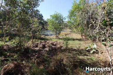Farm Sold - QLD - Buxton - 4660 - Large Property with Saltwater Access!!  (Image 2)