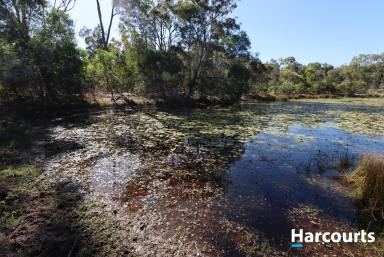 Farm Sold - QLD - Buxton - 4660 - Large Property with Saltwater Access!!  (Image 2)