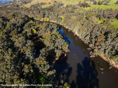 Farm For Sale - VIC - Seymour - 3660 - 50 Metres From The Goulburn River
2 ACRES  (Image 2)