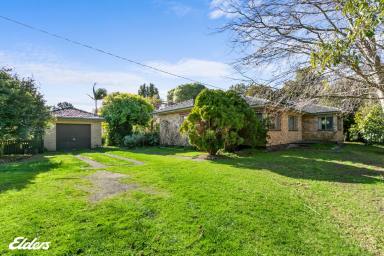 Farm For Sale - VIC - Won Wron - 3971 - COUNTRY FAMILY LIFESTYLE!  (Image 2)