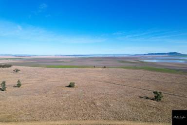 Farm Sold - NSW - Gunnedah - 2380 - MIXED CULTIVATION AND GRAZING, LOCATED ON THE EASTERN FRINGE OF GORAN LAKE  (Image 2)