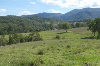 Farm For Sale - NSW - Rocky River - 2372 - ROLLIN ON THE RIVER  (Image 2)