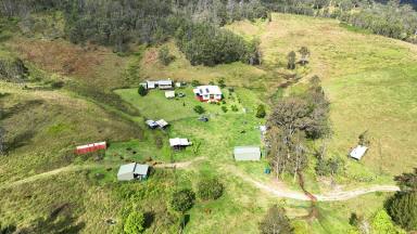 Farm For Sale - NSW - Rocky River - 2372 - ROLLIN ON THE RIVER  (Image 2)