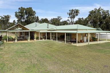 Farm Sold - NSW - Dubbo - 2830 - ENORMOUS COUNTRY RETREAT MINUTES FROM TOWN  (Image 2)