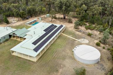 Farm Sold - NSW - Dubbo - 2830 - ENORMOUS COUNTRY RETREAT MINUTES FROM TOWN  (Image 2)