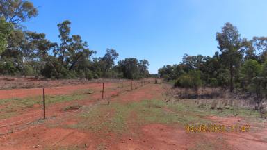 Farm Sold - NSW - Cobar - 2835 - Mudlark  (Image 2)