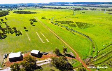 Farm For Sale - WA - Beermullah - 6503 - Outstanding Farm, Suited to Backgrounding, Horse Stud, Grazing & Mixed Cropping  (Image 2)