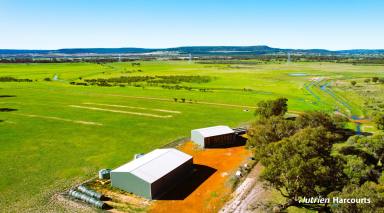Farm For Sale - WA - Beermullah - 6503 - Outstanding Farm, Suited to Backgrounding, Horse Stud, Grazing & Mixed Cropping  (Image 2)