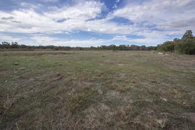 Farm Sold - VIC - Piangil - 3597 - Yes You Can  (Image 2)