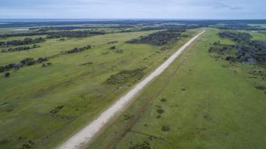 Farm For Sale - TAS - Musselroe Bay - 7264 - Grazing & Agri-Tourism Opportunity  (Image 2)