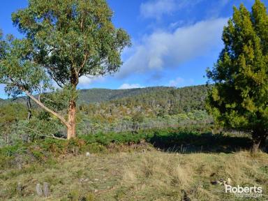 Farm Sold - TAS - Lachlan - 7140 - Acres of Opportunity  (Image 2)
