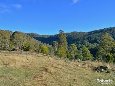 Farm Sold - TAS - Lachlan - 7140 - Acres of Opportunity  (Image 2)