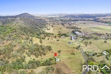 Farm Sold - NSW - Kyogle - 2474 - Valley Views on Edge Of Town  (Image 2)