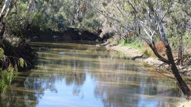 Farm For Sale - NSW - Warren - 2824 - Macquarie River Lifestyle Blocks  (Image 2)