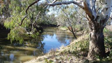 Farm For Sale - NSW - Warren - 2824 - Macquarie River Lifestyle Blocks  (Image 2)