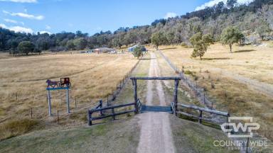 Farm For Sale - NSW - Tenterfield - 2372 - Ultimate Rural Lifestyle  (Image 2)