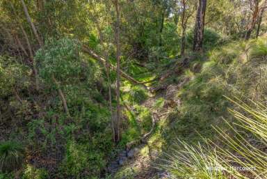 Farm For Sale - WA - Waroona - 6215 - 'Large block with development opportunity'  (Image 2)