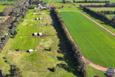 Farm For Sale - VIC - Undera - 3629 - 'Bluebell Park'  (Image 2)