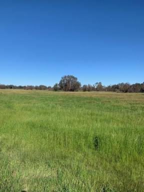 Farm Sold - WA - Oakford - 6121 - 1674 Thomas Road, Oakford - property with exciting upside  (Image 2)
