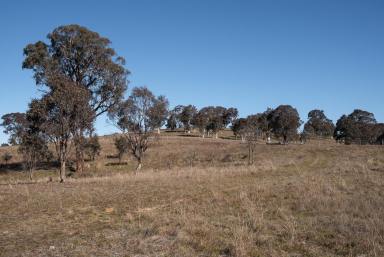 Farm For Sale - NSW - Sutton - 2620 - Lot 66 Woodbury Ridge Sutton - Inspection By Appointment  (Image 2)