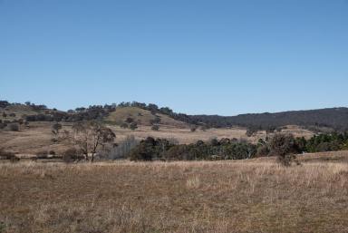 Farm For Sale - NSW - Sutton - 2620 - Lot 66 Woodbury Ridge Sutton - Inspection By Appointment  (Image 2)