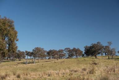Farm For Sale - NSW - Sutton - 2620 - Lot 67 Woodbury Ridge Sutton - Inspection By Appointment  (Image 2)