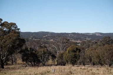 Farm For Sale - NSW - Sutton - 2620 - Lot 67 Woodbury Ridge Sutton - Inspection By Appointment  (Image 2)