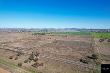 Farm Sold - NSW - Gunnedah - 2380 - 100 ACRES - READY TO BUILD!  (Image 2)