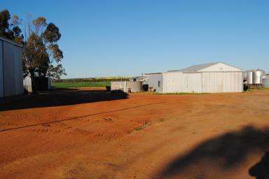 Farm For Sale - WA - Wickepin - 6370 - FOR LEASE - Large aggregation available as a whole or in 6 separate parcels  (Image 2)