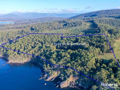 Farm For Sale - TAS - Southport - 7109 - Stunning Southport Acreage with Water Frontage  (Image 2)