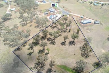 Farm For Sale - NSW - Inverell - 2360 - CREATE YOUR DREAM LIFESTYLE  (Image 2)