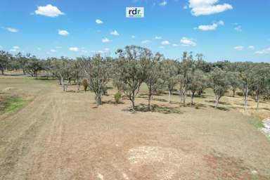 Farm For Sale - NSW - Inverell - 2360 - CREATE YOUR DREAM LIFESTYLE  (Image 2)