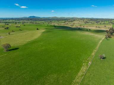 Farm Sold - NSW - Garland - 2797 - “TRILEE” HIGH RAINFALL, TABLELANDS GRAZING  (Image 2)