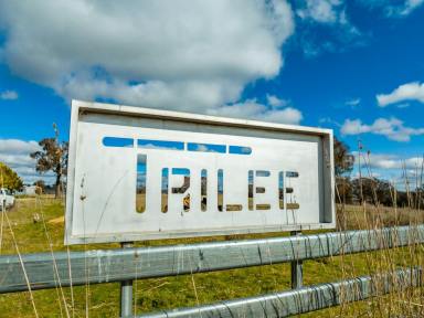 Farm Sold - NSW - Garland - 2797 - “TRILEE” HIGH RAINFALL, TABLELANDS GRAZING  (Image 2)