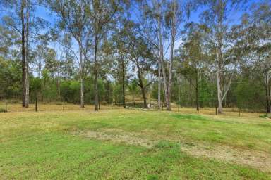 Farm Sold - QLD - Jones Hill - 4570 - PEACEFUL FAMILY LIFESTYLE PROPERTY  (Image 2)