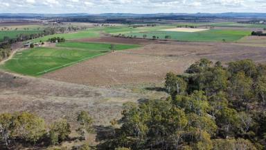 Farm For Sale - QLD - Wheatlands - 4606 - HAY, LOOK AT ME.  (Image 2)