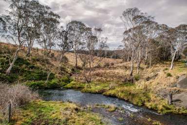 Farm Sold - NSW - Dorrigo - 2453 - Build and grow your countryside dream here!  (Image 2)