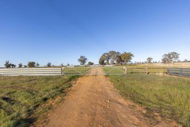 Farm For Sale - VIC - Apsley - 3319 - Lot 42A and 42B Davies Road, Apsley  (Image 2)